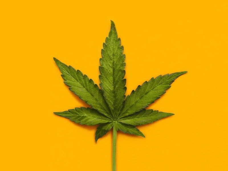 Cannabis: the coming&nbsp;storm